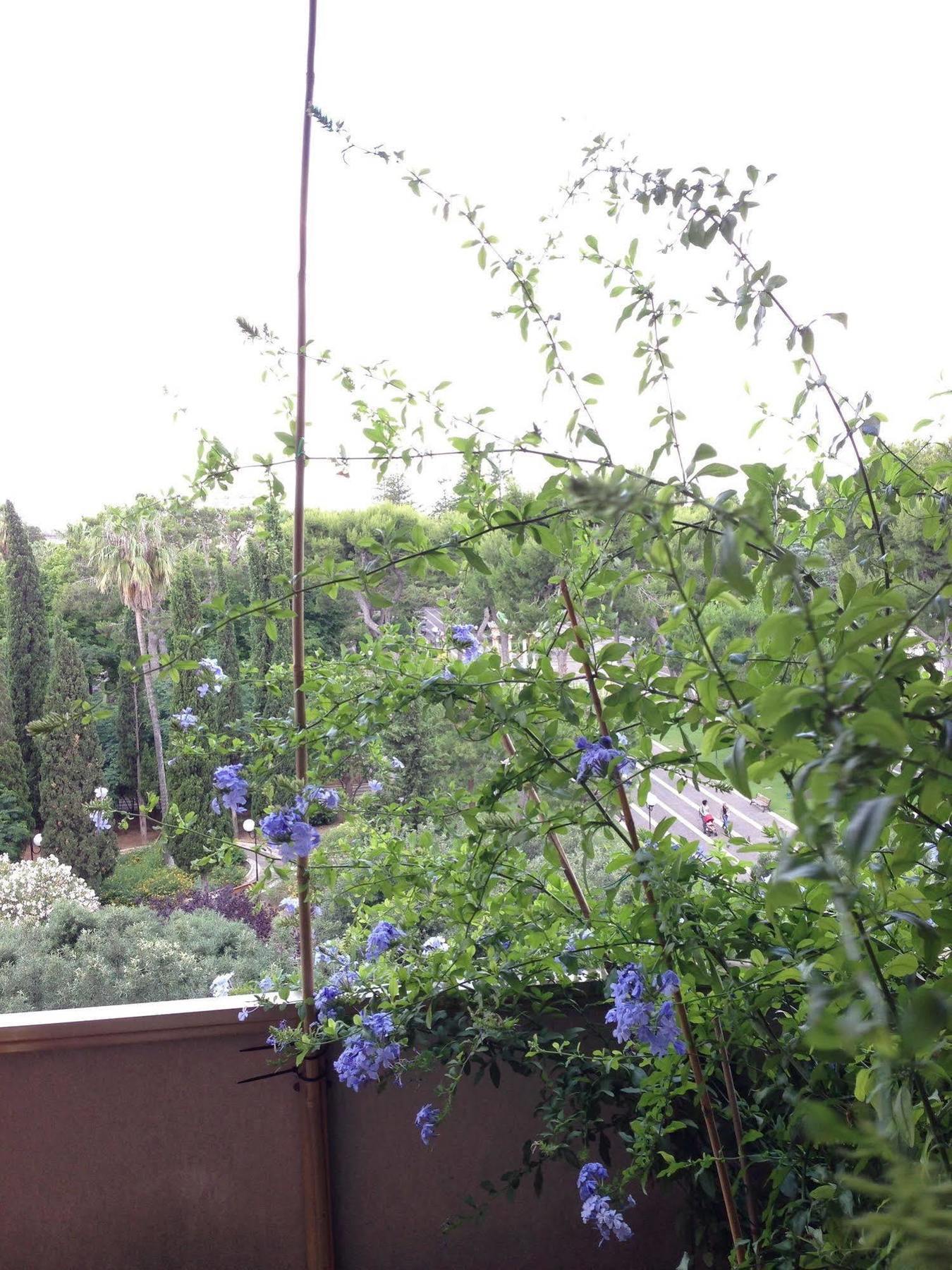 Larala' Bed & Breakfast Lecce Eksteriør bilde