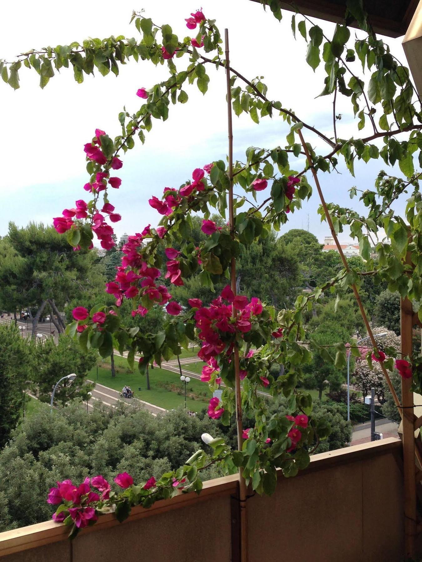 Larala' Bed & Breakfast Lecce Eksteriør bilde